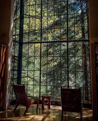 A tall grid of windows framing redwood trees at the Mill Valley library, two chairs in the light