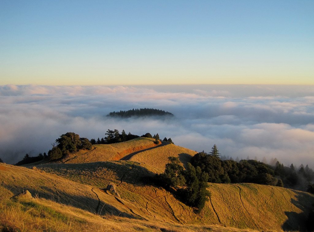 A golden grass ridge on Mount Tamalpais above a sea of cloud