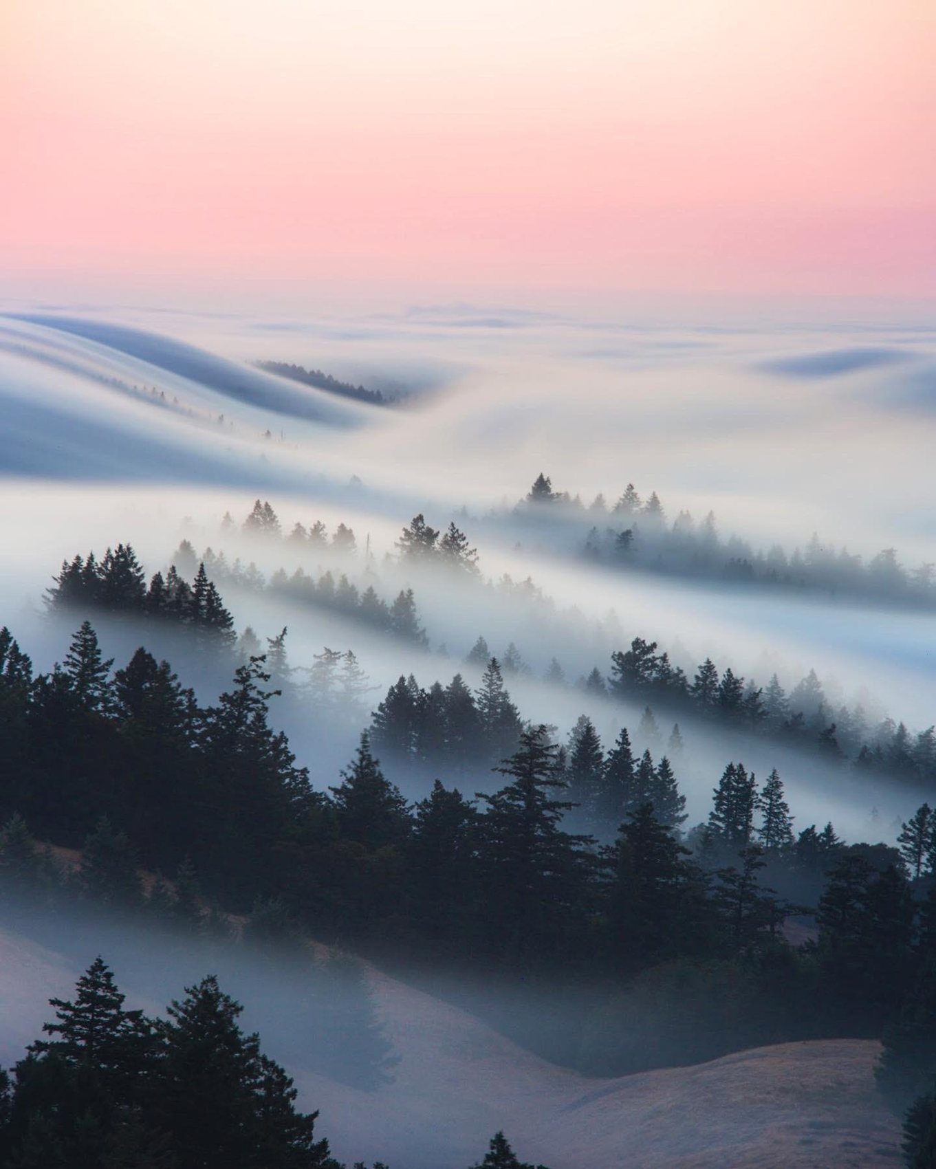 Fog settling over layered forested ridges