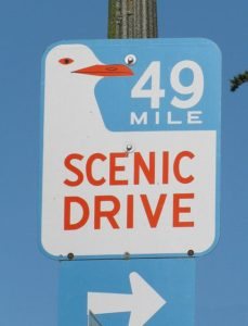 Weathered blue 49-Mile Scenic Drive sign on a pole